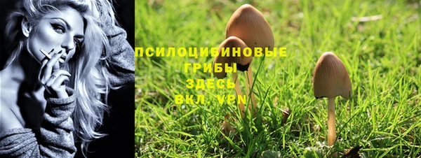 гидра Белоозёрский