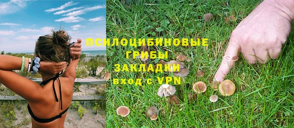 гидра Белоозёрский